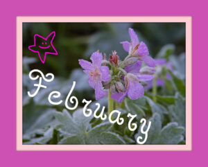 flowerfebruary