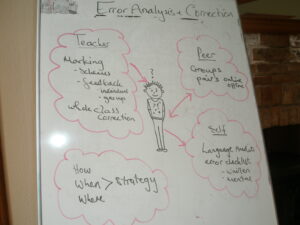 erroranalysis