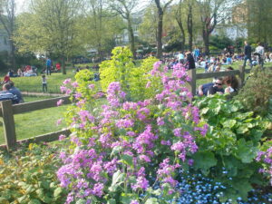 Sunny Brighton 